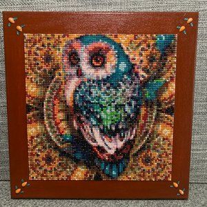 ⭐️Owl Diamond Art On 12x12" Canvas #845